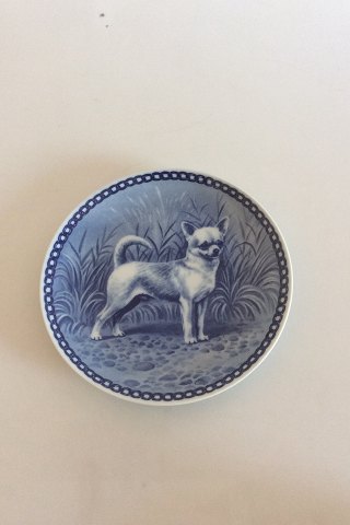 Tove Svendsen Original Dog Plate Denmark Korthåret Chihuahua, Kurzhaarig 
Chihuahua, Smooth Chihuahua