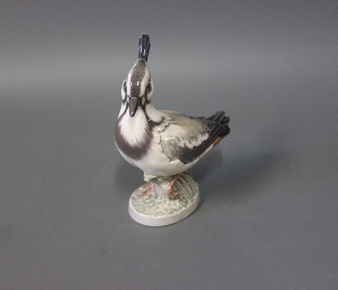 Porcelænsfigur af Dahl Jensen, En Vibe, nr. 1279
Flot stand
