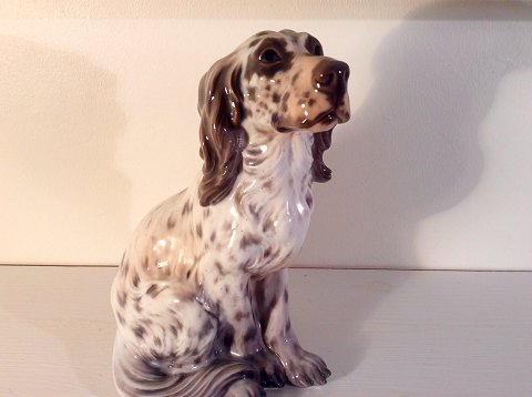 Dahl Jensen
English Setter
# 1186
* 1800 DKK