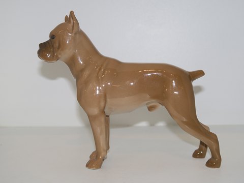 Bing & Grondahl Dog Figurine
Boxer