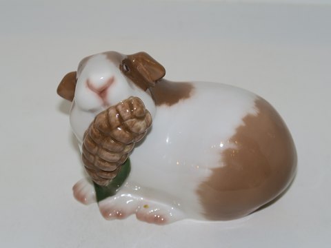 Bing & Grondahl figurine
Guinea-pig