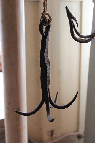 1800 Century wild hook in wrought iron.