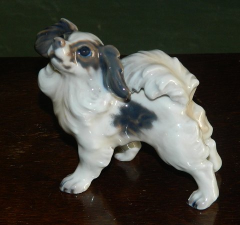 DJ figure of Papillon dog