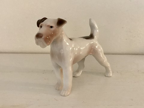 Bing & Gröndahl
Foxterrier
# 2072
*600kr