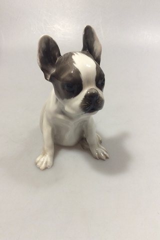 Rosenthal Porcelain Dog Germany French Bulldog Puppy