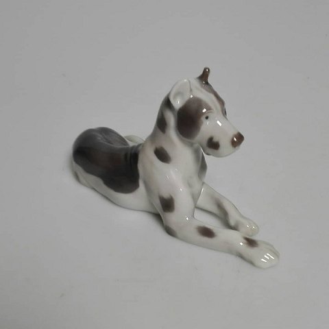 item no: 357719