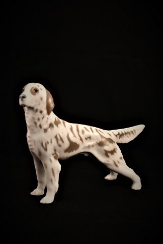 Royal Copenhagen porcelain figure of dog, Irish setter. #3252.
H:14cm. 
L:19,5cm.