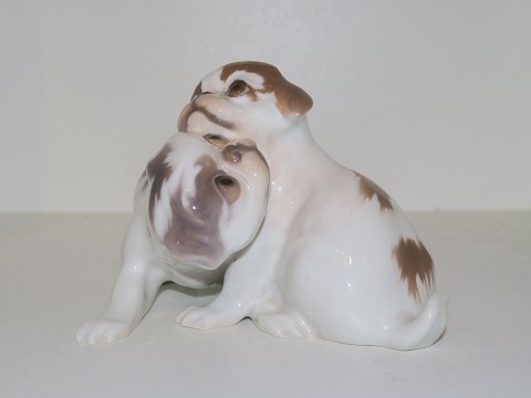 click to zoom