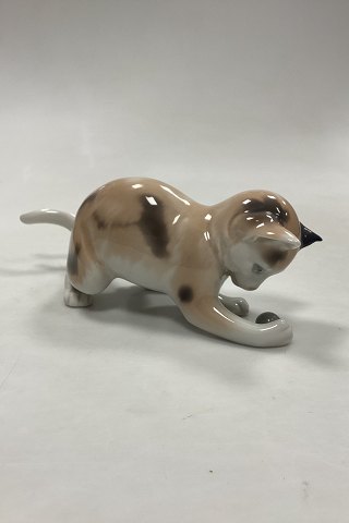 click to zoom