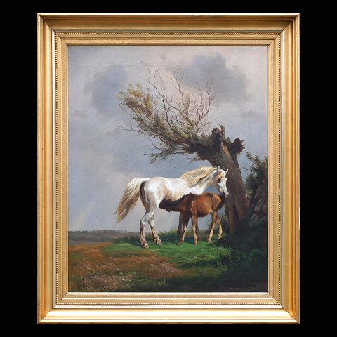 Adolf Henrik Mackeprang, 1833-1911, oil on canvas. 
Two horses in landsape. Signed and dated 1869. 
Visible size: 86x70cm. With frame: 107x91cm