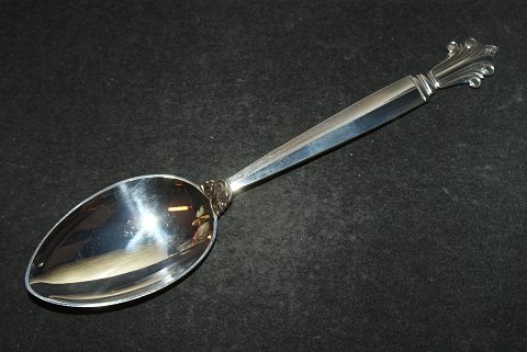 Dinnerspoon # 11 Queen / Acantus # 180
Georg Jensen Silverware