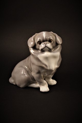 Royal Copenhagen porcelain figurine of little Pekingese dog.
H:13,5cm.
RC# 1860.
