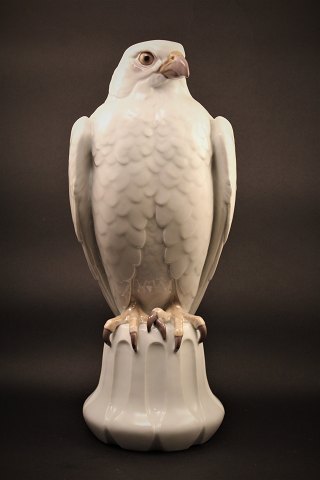 click to zoom