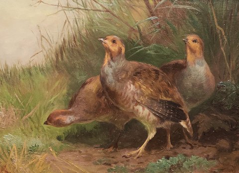 A. Mackeprang; Painting, partridges, oil on panel