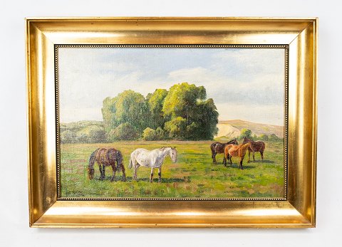 Oil painting with horse motif and gilded frame by Niels Christiansen 
(1873-1960).
5000m2 showroom.