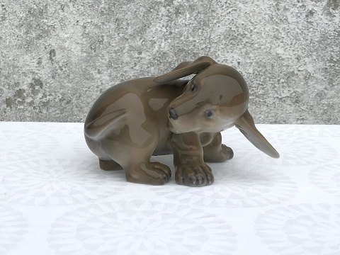 Royal Copenhagen
Dachshund
# 1407
* 425kr