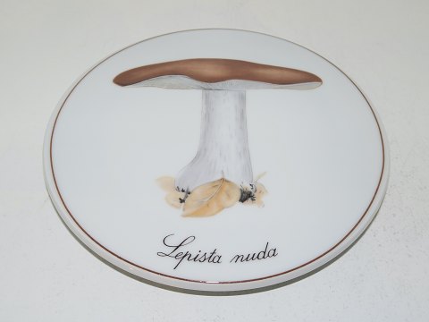 Bing & Grondahl Mushroom Plate
Wood Blewits