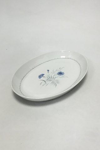 Bing & Grøndahl Demeter / White Cornflower Oval Dish No 18