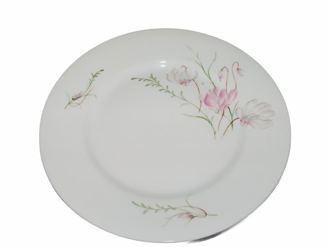 Cyclamen
Luncheon plate 21 cm.