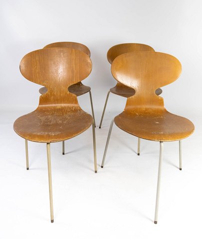 Set of four Ant chairs, model 3101, in light wood, designed by Arne Jacobsen in 
1952 and manufactured by Fritz Hansen from the 1950s. 
5000m2 showroom.