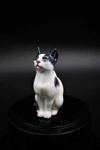 Small porcelns cat from Dahl Jensen.
DJ# 1329. 1.Sort. 
H:9,5cm.