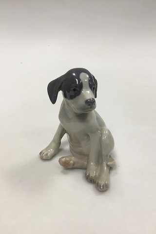 Royal Copenhagen Figurine Pointer Puppy No 206