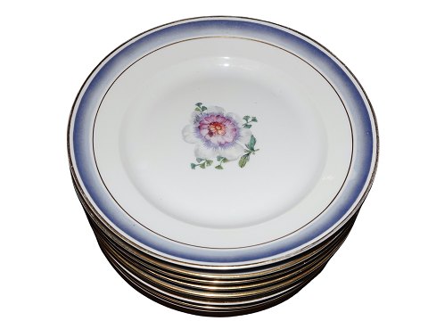 Blue Edge and Flowers
Dinner plate 23.0 cm.