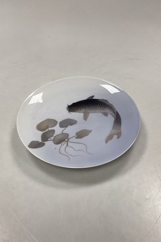 click to zoom