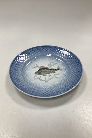 click to zoom