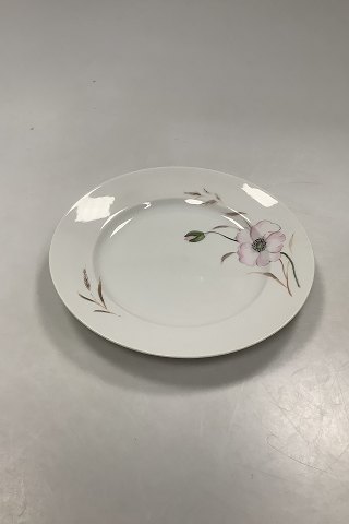click to zoom
