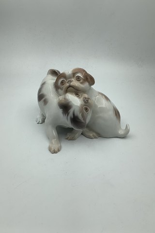 click to zoom