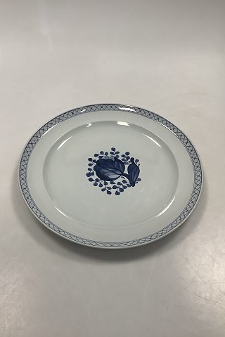 click to zoom
