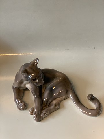Lying Puma. #Dahl Jensen
Deck # 1019,
Measures 31 cm.
SOLD