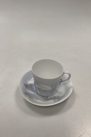 click to zoom