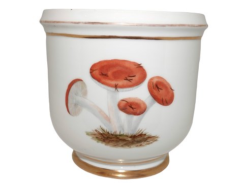 Royal Copenhagen
Antique flower pot decorated with mushrooms from 1840-1860