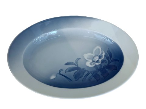 Christmas Rose
Small platter 24.7 cm.