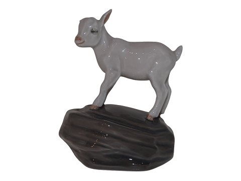 Royal Copenhagen figurine
Goat kid on stone