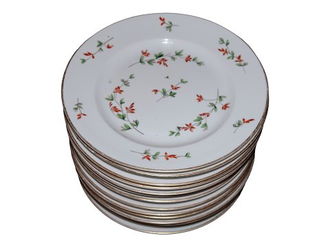 Barberry
Dinner plate 23 cm.