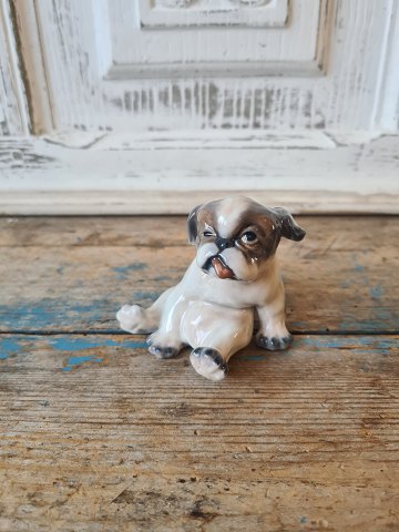 click to zoom