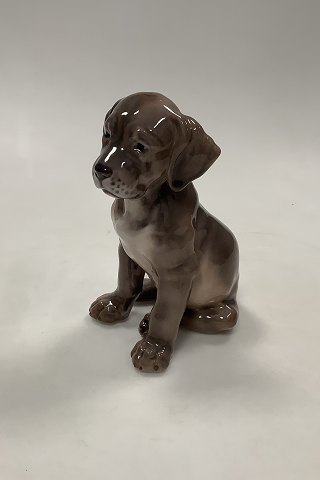 Dahl Jensen Figur Hund Broholmer Hvalp No 1255