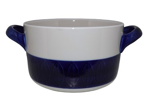 Blue Koka
Pot 15.8 cm.