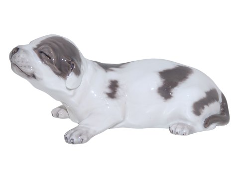 Royal Copenhagen figur
Basset hund fra 1898-1923