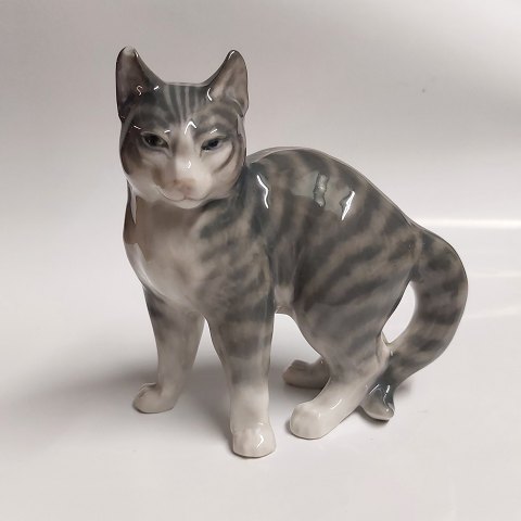 Royal Copenhagen: Figure of a cat in porcelain from the 1920s
&#8203;