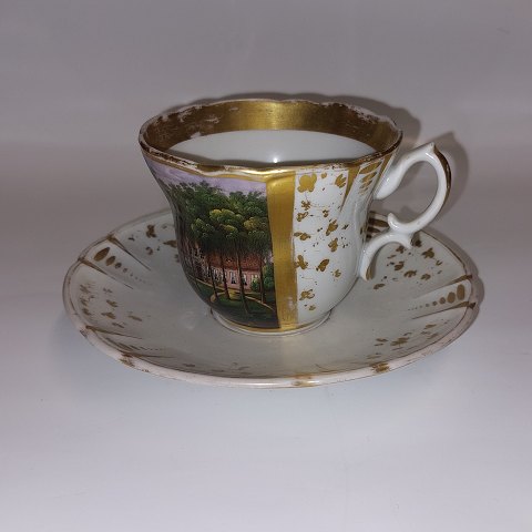 Carl Tielsch TPM Germany: Cup and saucer 19th century
