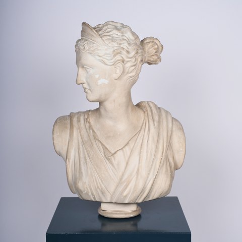 Diana bust, goddess of wild animals and the hunt Diana bust, goddess of wild animals and the hunt