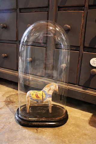 Decorative, old oval French glass Dome / Globe on a black wooden base for 
exhibition. H:54,5cm...