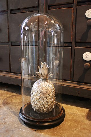 Decorative, old cylinder-shaped French glass Dome / Globe on a black wooden base 
for exhibition...