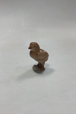 click to zoom