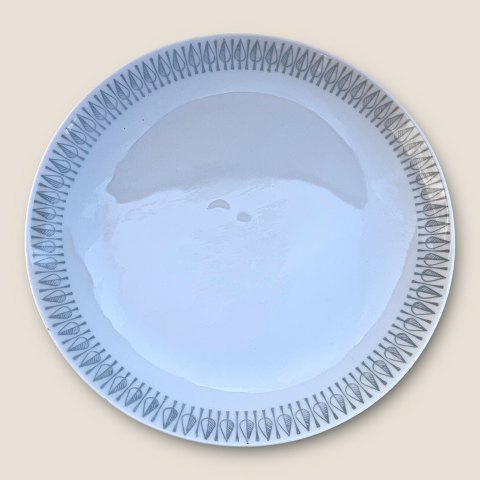 click to zoom