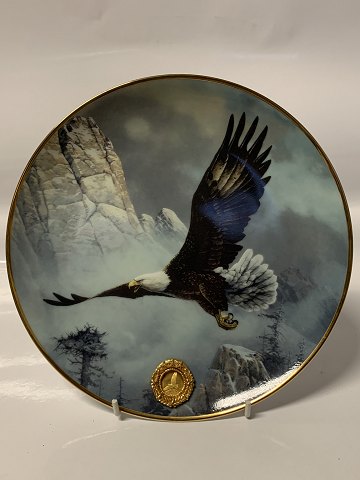 item no: 593811
